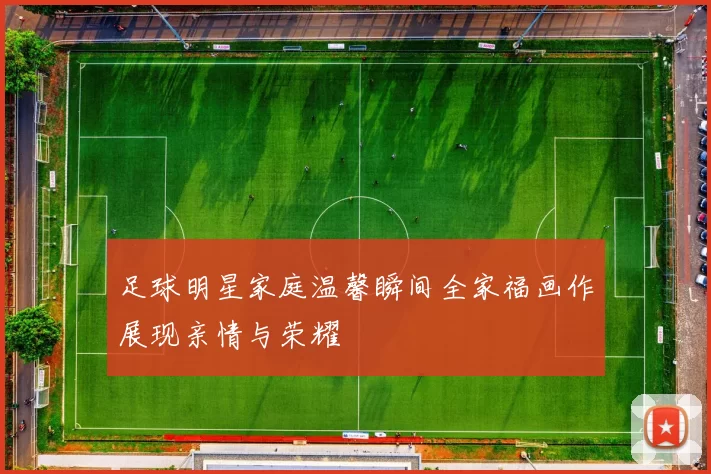 足球明星家庭温馨瞬间全家福画作展现亲情与荣耀