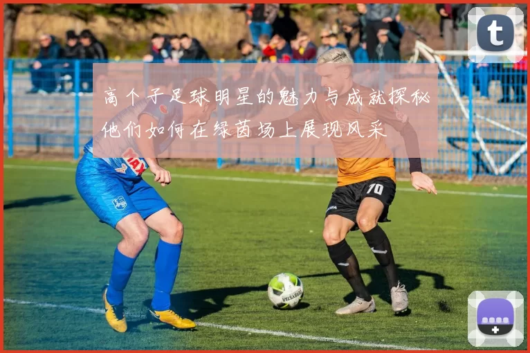 高个子足球明星的魅力与成就探秘他们如何在绿茵场上展现风采