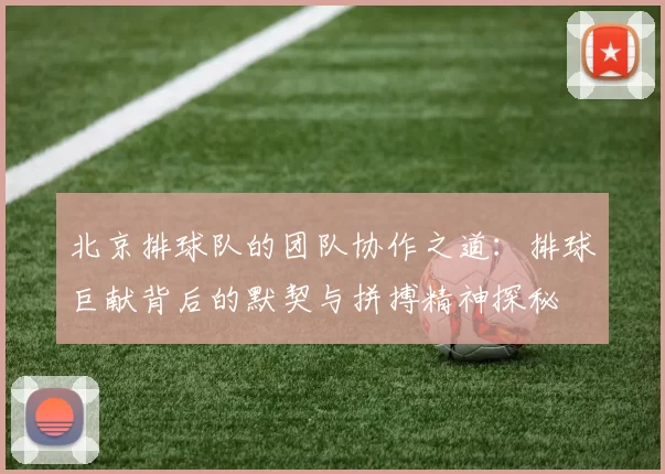 北京排球队的团队协作之道：排球巨献背后的默契与拼搏精神探秘