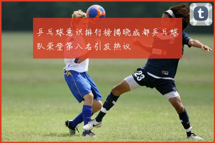 乒乓球意识排行榜揭晓成都乒乓球队荣登第八名引发热议