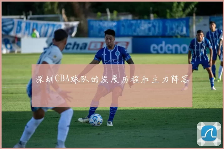 深圳CBA球队的发展历程和主力阵容