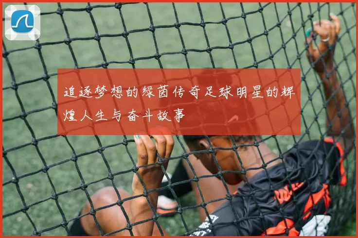 追逐梦想的绿茵传奇足球明星的辉煌人生与奋斗故事