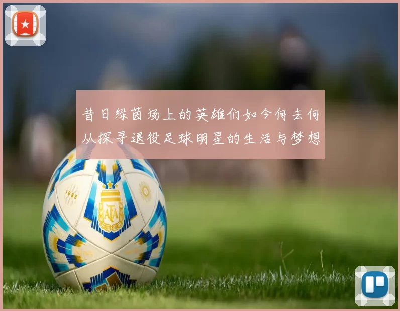 昔日绿茵场上的英雄们如今何去何从探寻退役足球明星的生活与梦想