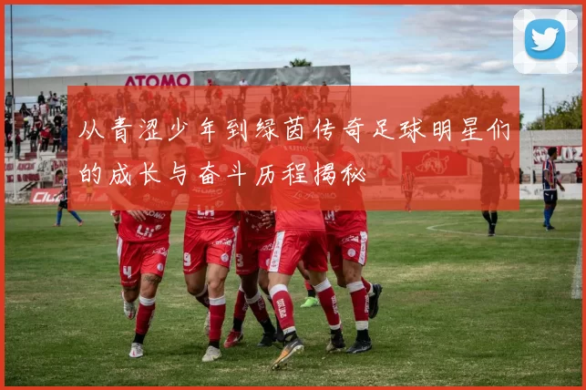 从青涩少年到绿茵传奇足球明星们的成长与奋斗历程揭秘