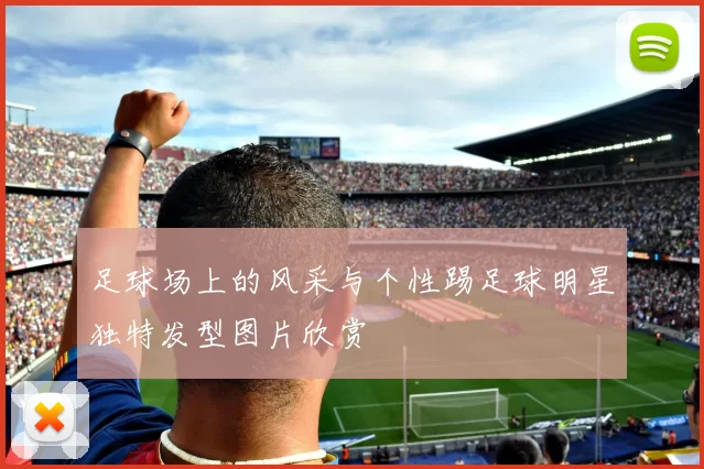 足球场上的风采与个性踢足球明星独特发型图片欣赏