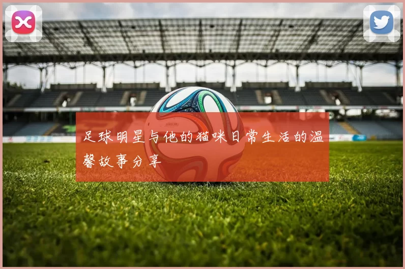 足球明星与他的猫咪日常生活的温馨故事分享