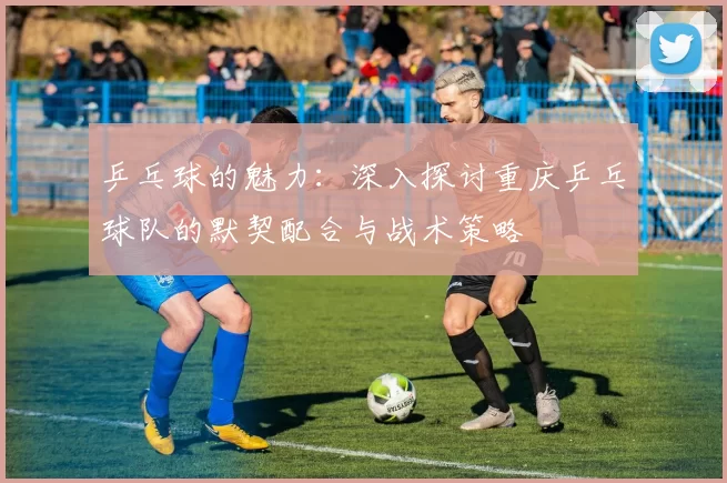 乒乓球的魅力：深入探讨重庆乒乓球队的默契配合与战术策略