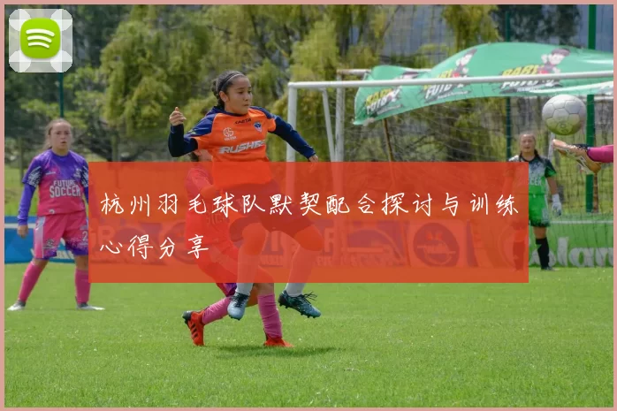 杭州羽毛球队默契配合探讨与训练心得分享