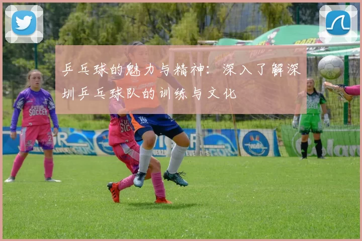 乒乓球的魅力与精神：深入了解深圳乒乓球队的训练与文化