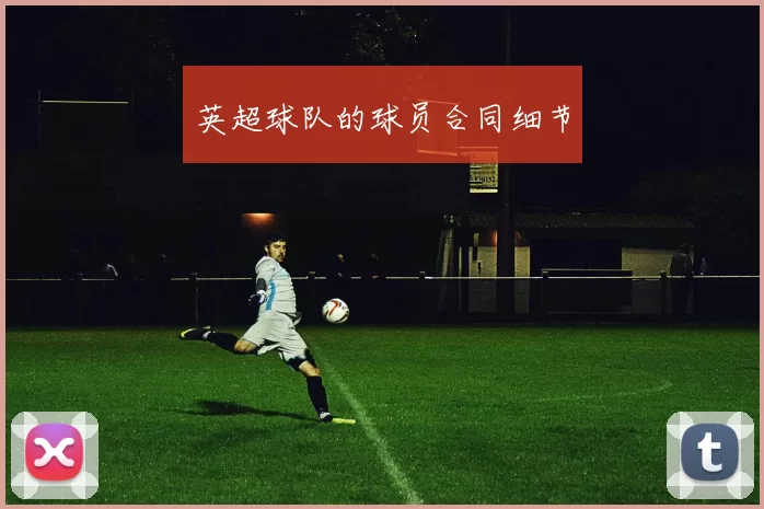英超球队的球员合同细节